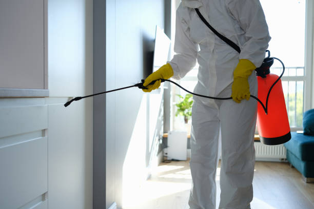 Professional Mold Remediation in La Center, WA